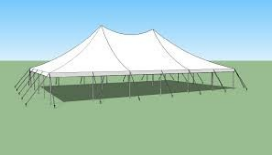 Picture of 40x60 Pole Tent