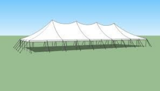 Picture of 40x100 Pole Tent