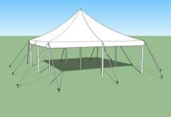 Picture of 20 x 20 Pole Tent