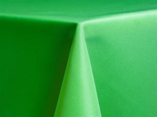 Picture of 20x20 Napkin Kelly