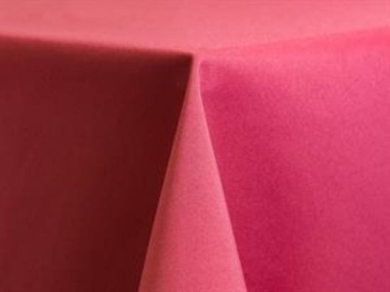 Picture of 120 Fuchsia