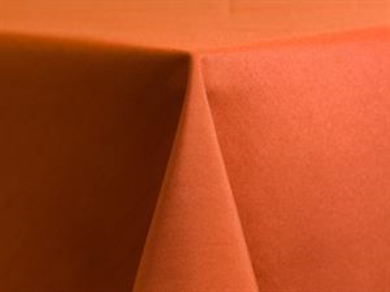 Picture of 20x20 Napkin Orange B